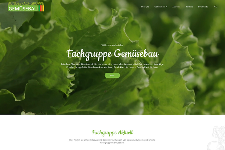 Verbandswebseite der Fachgruppe Gemüsebau erstrahlt in neuem Design